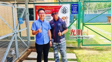 Photo of 郑瑞隆：人道方式解决 流浪狗不该弃孤岛
