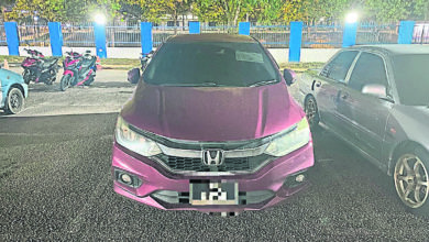 Photo of 2男结伙偷轿车摩多 警36小时破案起赃物