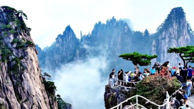 Photo of 庆三八妇女节 黄山等景区女游客免票