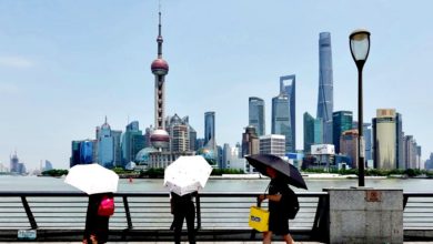 Photo of 徐家汇28℃ 上海150年来最热3月初