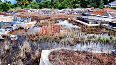 Photo of 峇登汉族义塚浸水 扫墓者吁管委会速解决