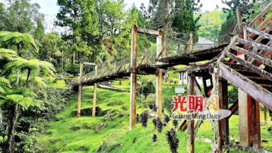 Photo of 拉律山4月重新开放 吉普车仅载登山留宿者