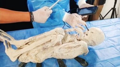 Photo of 科学家确认秘鲁“三指木乃伊”100%真实