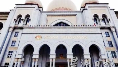 Photo of 与政府达和解协议 大马母亲海外产子可申请公民权
