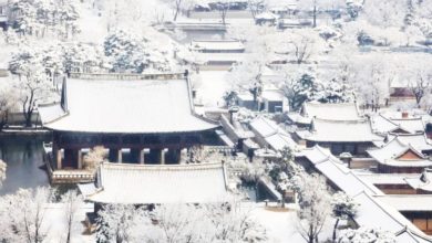 Photo of 韩国3月迎暴雪 首尔发历来最迟大雪预警