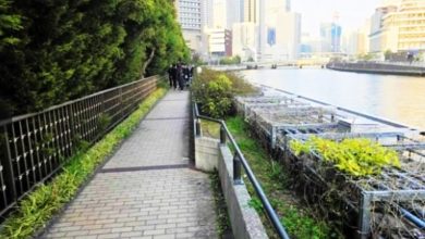 Photo of 大阪市中心惊传碎尸案 塑袋装肉块骨头弃河边