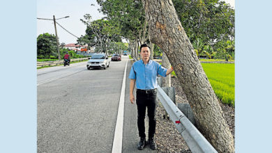 Photo of 浮罗加东路旁树挡视线 蔡求伟：民促砍树降风险