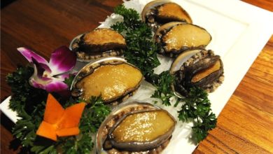 Photo of 日旅客食物中毒 验出诺罗病毒