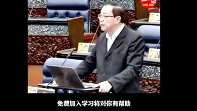 Photo of 林冠英国会中文教投资? 网民讥骗子对大马零了解