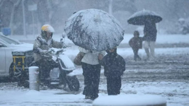Photo of 中国山东多地降暴雪 济南罕发“双红预警”