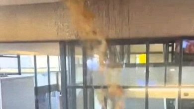 Photo of 大学污水管爆裂 “粪水瀑布狂泻15分钟”