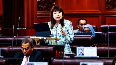 Photo of 囯会 〡林慧英:助电网问题微中小企 全国设电子发票柜台