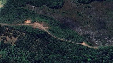 Photo of 应COP30建公路砍伐亚马逊雨林 巴西挨批违背初衷