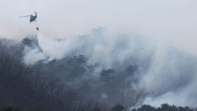 Photo of 扫墓引发山林大火 韩国千年古刹付之一炬