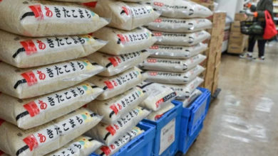 Photo of 抑制米价飙涨 日本罕见拍卖储备大米