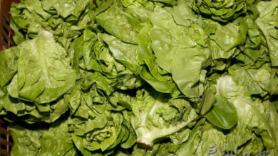 Photo of 水煮蔬菜营养流光光？ 一文看懂炒菜秘诀