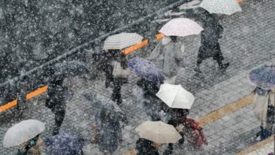 Photo of 罕见3月雪 东京发大雪警报