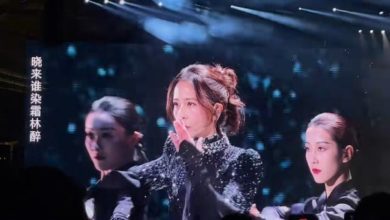 Photo of 莫文蔚雨中开唱出意外 舞台湿滑2度摔倒