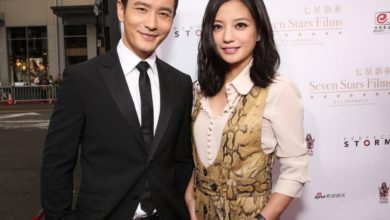 Photo of 黄晓明赵薇夕阳传情 网催再续前缘在一起