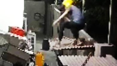 Photo of 翻墙踩中瓦片 小狗狂吠2贼被吓走