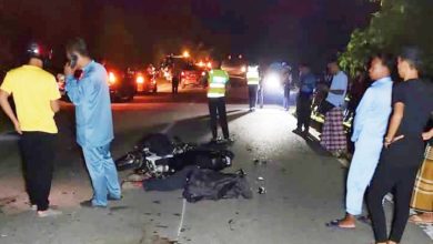 Photo of 摩多车辆先后撞上 牛没死人死了