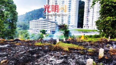 Photo of 扫墓留火苗 公塚大片草地烧焦