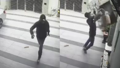 Photo of 3男绑架缅因猫失败 女主人求助寻找爱猫