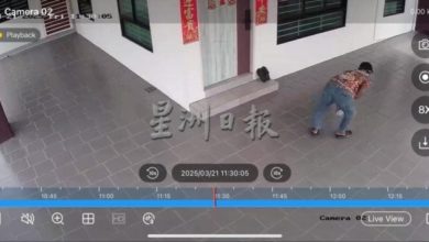 Photo of 电眼又如何? 狂贼闯车房偷窃