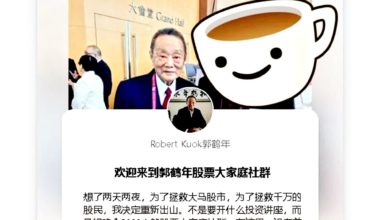 Photo of 郭鹤年变投资GURU 老千冒名开账号 福建华语教课