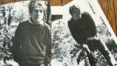 Photo of 【这里那里】一边跟山鸽子吵架 一边种豆