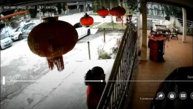 Photo of 女子长刀藏花盆 老人机警没开门