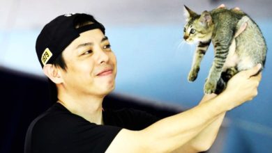 Photo of 布特拉高原气爆〡猫狗还有蛇 志工救出近40只动物