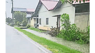 Photo of 三合港雨后积水难退 辜锦荣：沟渠崩坍所致