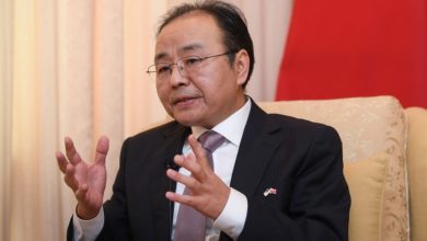 Photo of 欧阳玉靖: 推动中马命运共同体 建设不断迈上新台阶