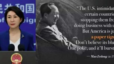 Photo of 毛宁再发毛泽东语录 “美国是只纸老虎”
