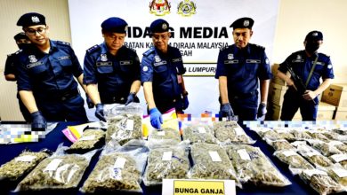 Photo of 大麻花伪装零食宠物粮 市值逾2057万 被关税局捣破