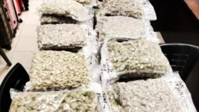 Photo of 准备贩至欧洲 民宿起264万大麻花 马中首脑被捕