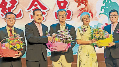 Photo of 顏碧贞：米那务固至龙引淡泊海岸 拟建防洪堤解海水倒灌