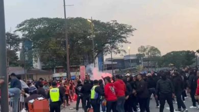 Photo of 南虎大象球迷爆冲突 赛前看谁拳头硬