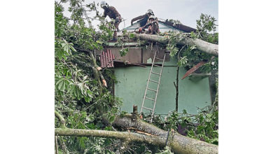 Photo of 班台爱大华暴风雨 倒树压屋学校被掀顶