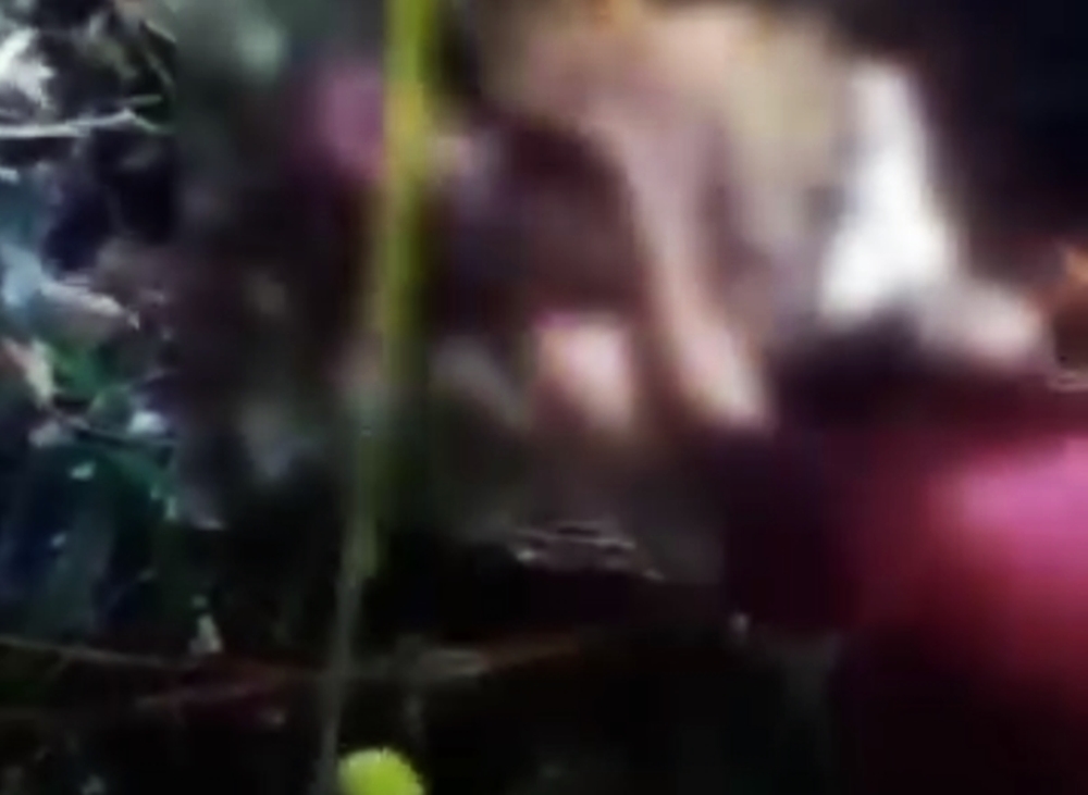 妇女斯蒂（Wa Siti）在自家菜园采摘蔬菜时，突然遭一条长达约7公尺的巨蟒攻击活吞，最终不幸丧命。