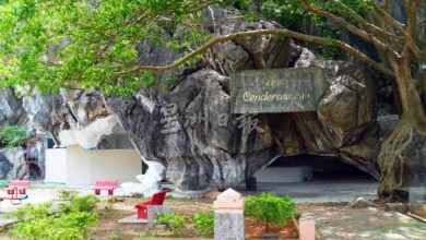 Photo of 咖啡厅玻地质公园装修 破坏打石山3亿年化石