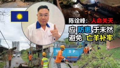 Photo of 威省接连16宗树倒事故 陈诠峰斥市厅疏于检查