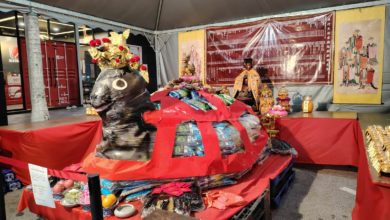 Photo of 吉打妈祖文化节 百斤米龟王登场 善信争夺“掷筊王”