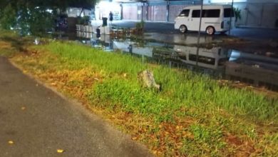 Photo of 默贡英雄园逢雨淹水 水沟垃圾成隐患