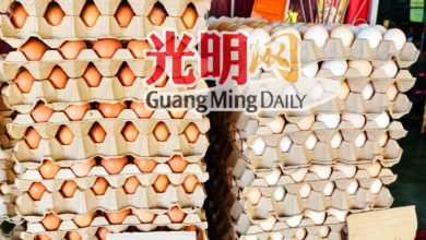 Photo of 小鸡蛋跌幅近50% 斋戒月开学后料回升