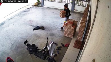 Photo of 【视频】1个多月被偷蛋3次 华都村蛋商装电眼捉贼