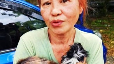 Photo of 【布特拉高原天然气管泄漏燃烧】女屋主逃命后求助 消拯员救出宠物