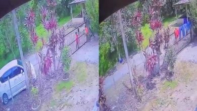 Photo of 常遭熊孩子霸凌还被撒尿 精神病患家属悲愤报警