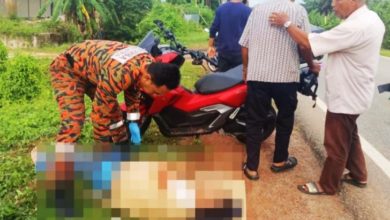 Photo of 摩多对撞1死1伤 消拯员送医亡